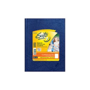 CUADERNO N°1 EXITO LISO 48 hjs