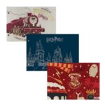CARPETA N°5 MOOVING HARRY POTTER