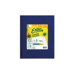 CUADERNO N°1 EXITO 48 hjs UNIVERSO AZUL