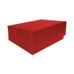 CAJA ARCHIVO PLASTICO OFICIO ROJO