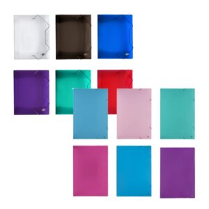 CARPETA C/ELAS RIDEO DOBLE OFICIO PLASTICA