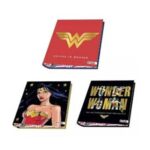 CARPETA 3x40 MOOVING MUJER MARAVILLA