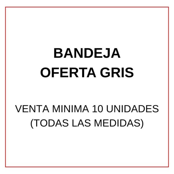 BANDEJA GRIS OFERTA" N°5" - Imagen 2
