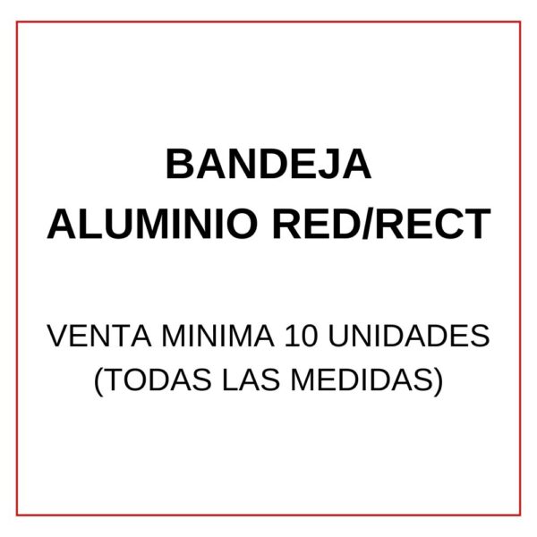 BANDEJA ALUMINO F100 - Imagen 2