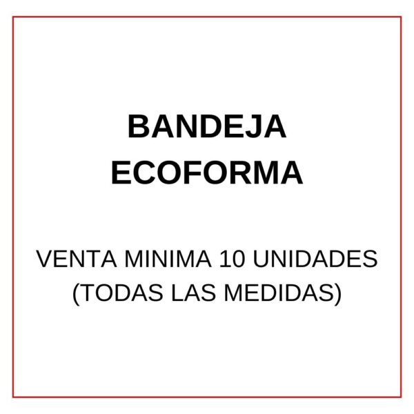 BANDEJA ECOFORMA 105 OVALADA - Imagen 2