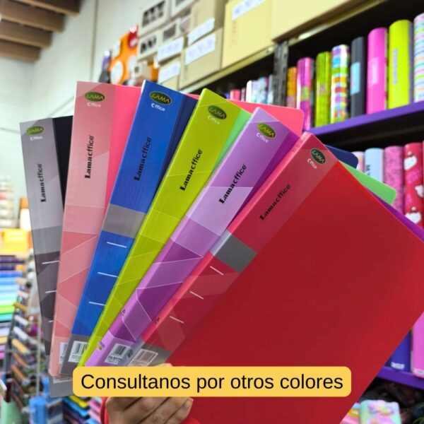 CARPETA A4 x 20 FOLIOS - Imagen 2