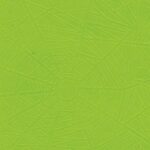 PAPEL FORRAR ARAÑA 50x70 VERDE MANZANA