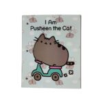 CARPETA N°3 OLIVER PUSHEEN