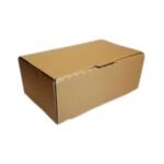CAJA MICRO HAMBURGUESA H1 (9x23x15)