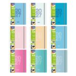 AGENDA RIDEO N°8 DIARIA INTERIOR COLOR 2027